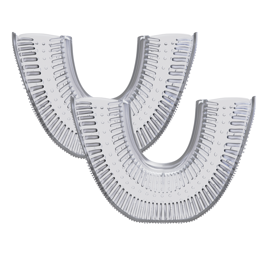 2-Pack Extra Brush Heads